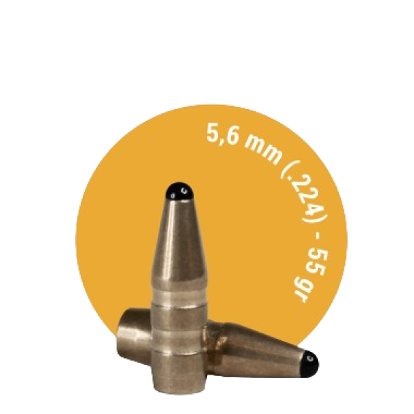 FOX .224 Classic Hunter 55gr